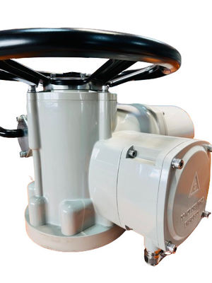 Custom Electric Multi Turn Actuator Steel Remote Control 100NM IP67