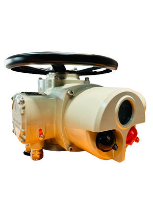Custom Electric Multi Turn Actuator Steel Remote Control 100NM IP67